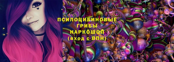 соль ск Михайловск