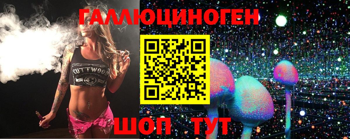 Галлюциногенные грибы Psilocybine cubensis  Вход с VPN  Михайловск 